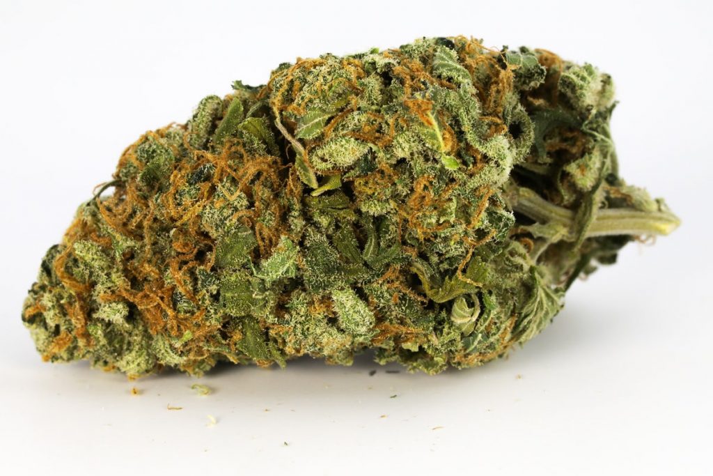 Acapulco Gold - Bud 420 Boutique